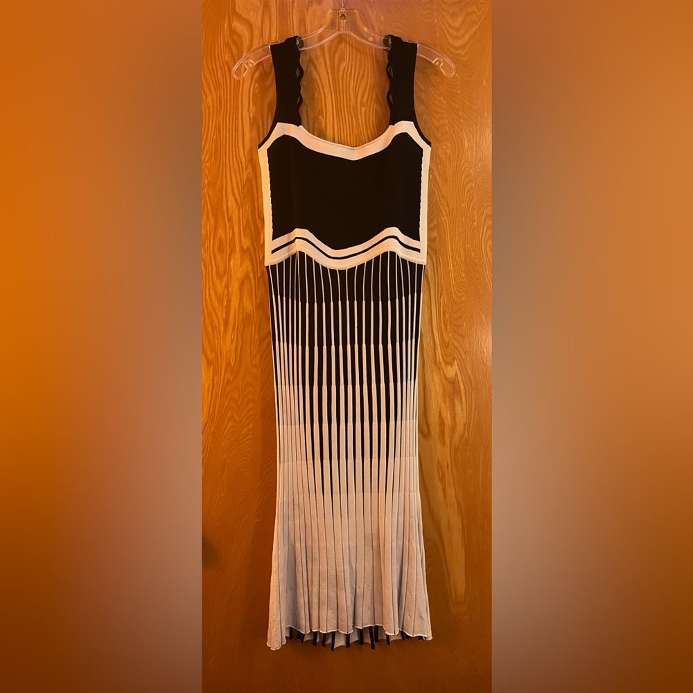 PH5 Parlor Color Blocked Wavy Tank Dress